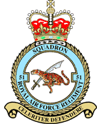 Squadron badge