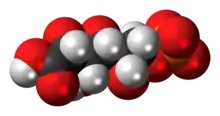 Space-filling model of the 6-phosphogluconic acid anion