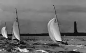 6 Metre