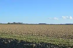 Fields in the northern part of the township