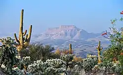 A view from Redington Rd SE of San Manuel with Galiuro Mountains in background.