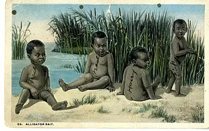 Later "alligator bait" postcards plagiarized the Knoxville lithograph (University of Southern Maine)