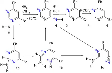 ANRORC isotope scrambling