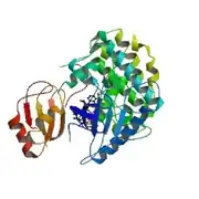 ASF/SF2 (left: red/orange/yellow) complexed with SRPK1 (right: blue/green/yellow) based on the 3BEG​ crystallographic coordinates.