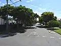 Wide and tree-lined streets along Nelson Street, west from Bertha Street (2021).