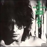 [The Waterboys] a pagan place featuring a [Head shot] of [Mike Scott]