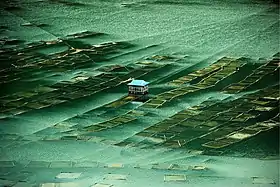 Fishing nets and a lonely fisherman's station at Indrasarovar lake, Kulekhani.