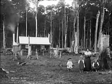 Deforestation by early settlers (circa 1895–1917).