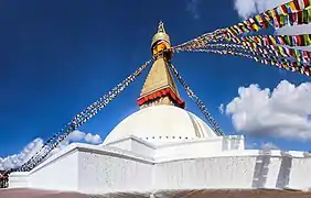 A view of Boudhanath Premises