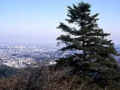 View of Tokyo from Mount Takao