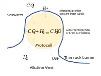 Protocells in contact with a thin rock barrier in a hydrothermal vent get a free supply of energy from the pH gradient.