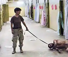 Image 4One of the photographs of the Abu Ghraib prison torture scandal: a naked prisoner being forced to crawl and bark like a dog on a leash. (from Nudity)