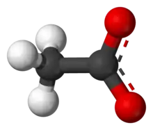 Ball-and-stick model of the acetate anion