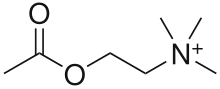 Figure 3. Acetylcholine for comparison.