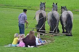 Three abreast during a meadow-surfing event.