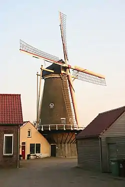 Windmill Windlust