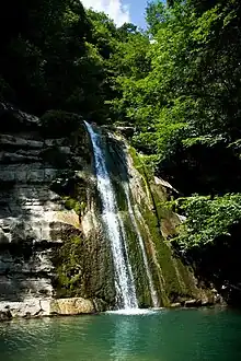 Green trees surround a high waterfall with moss around the rocks, into a green pool.