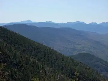 Image 48The Adirondack Mountains of Upstate New York form the southernmost part of the Eastern forest-boreal transition ecoregion. (from Forest)