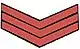 Administration Police Insignia