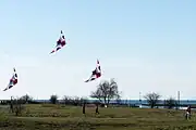 Kite flying at the park