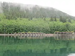 Pilings from railway landing at Aero