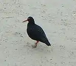 Taken in South Africa