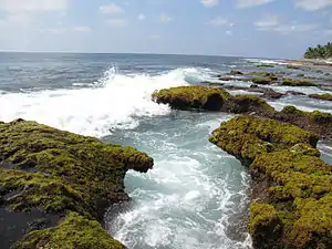 A deep whirlpool in the Agatthiyatti Stone area