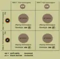 cross of two different homozygous individuals