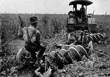 Image 43Early 20th-century image of a tractor ploughing an alfalfa field (from History of agriculture)