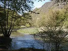 The middle Ahr below Altenahr with the rock formation of Langfig