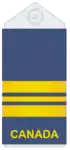 Uniform shirts (old insignia)