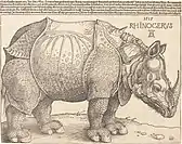 Rhinoceros, 1515, National Gallery of Art