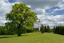 A column commemorating the 1812 war between Russia and Fance, in Mõdriku manor park.