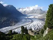 Image 26The Aletsch Glacier with pine trees growing on the hillside (2007; the surface is 180 m (590 ft) lower than 150 years ago) (from Alps)