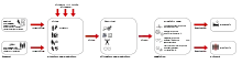 Pathopysiology of allostatic load