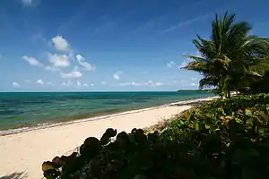 Image 34Almond Beach, Hopkins (from Tourism in Belize)