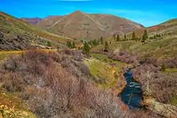 Valley near Pine