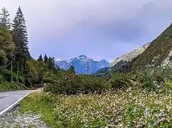 Bergamo Alps in Mid-summer