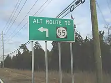 A green sign along a road lined with trees and power lines reading alt route to Route 55 with an arrow pointing to the left