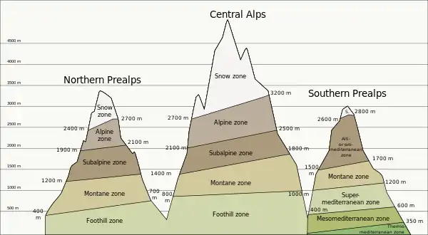 Image 15Life zones of the Alps (from Climate of the Alps)