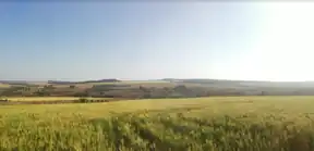 A grassland in Alto Verá