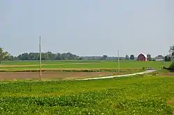 Soybean fields south of Vanlue on County Road 26