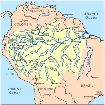 Amazon basin