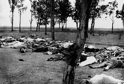 Caption from the book: "THOSE WHO FELL BY THE WAYSIDE. Scenes like this were common all over the Armenian provinces, in the spring and summer months of 1915. Death in its several forms---massacre, starvation, exhaustion---destroyed the larger part of the refugees. The Turkish policy was that of extermination under the guise of deportation"