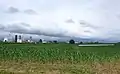 Amish dairy farms in the county.