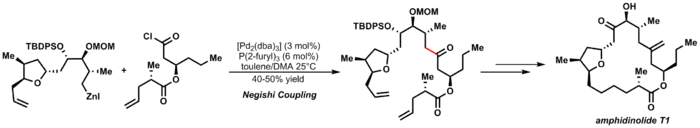 Negishi Cross coupling reaction in the total synthesis of Amphidinolide T1