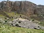 Horses roam in Amud stream, near the Sea of Galilee