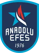 Anadolu Efes logo