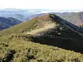 Serra dos Ancares (Lugo)