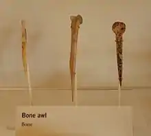 A color picture of three long bone tools